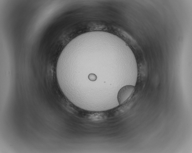 X0000111490761200908041142