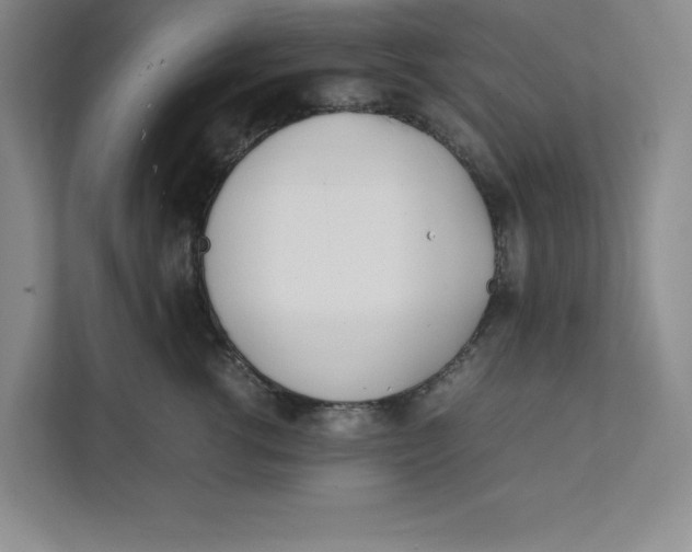 X0000111490762200908041142