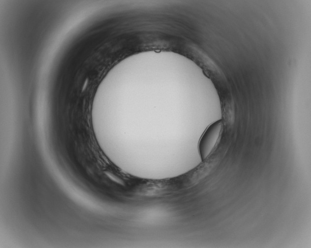 X0000111490764200908041142