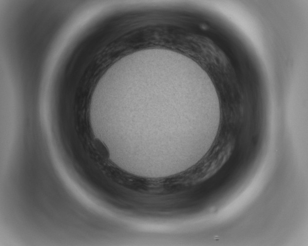 X0000111490766200908041142