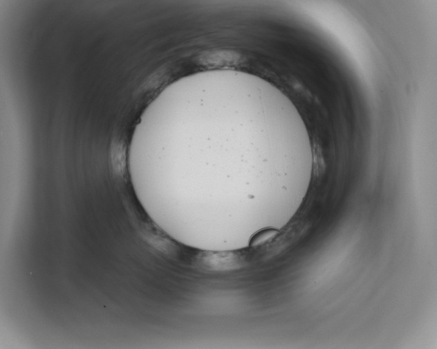 X0000111490767200908041142