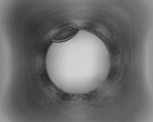 X0000111490773200908041141