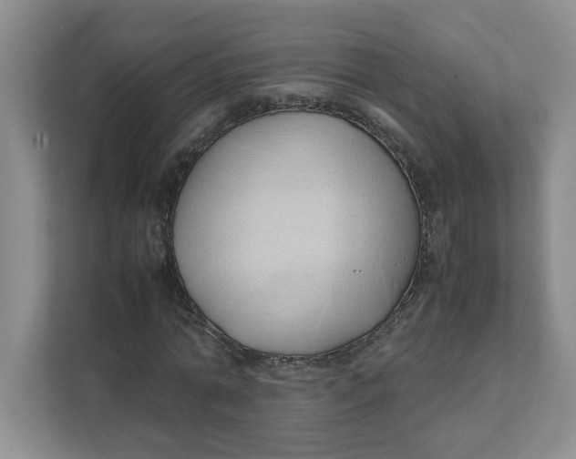 X0000111490774200908041141