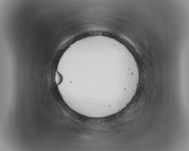 X0000111490775200908041141