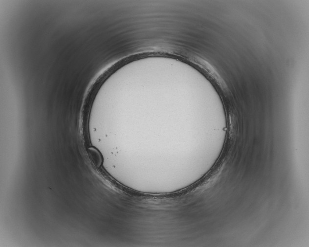 X0000111490780200908041141