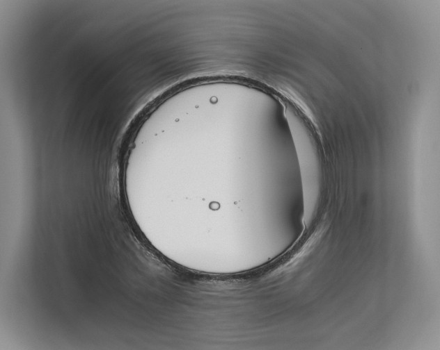 X0000111490781200908041141