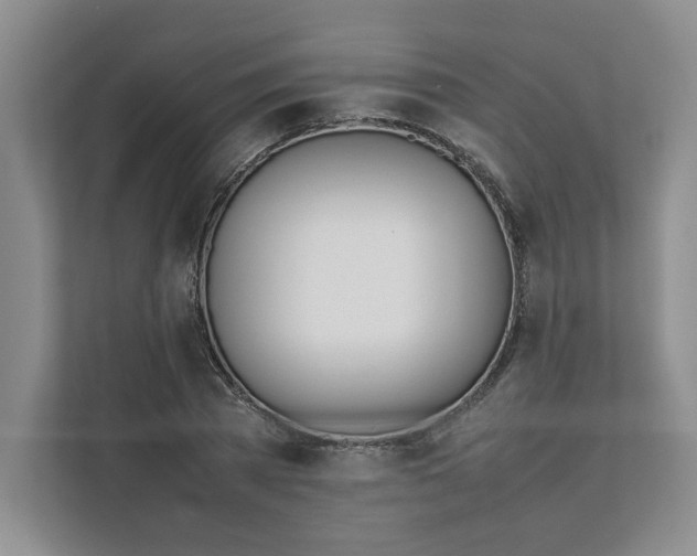 X0000111490785200908041141