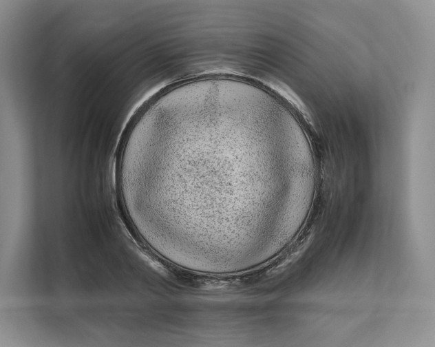 X0000111490790200908041141