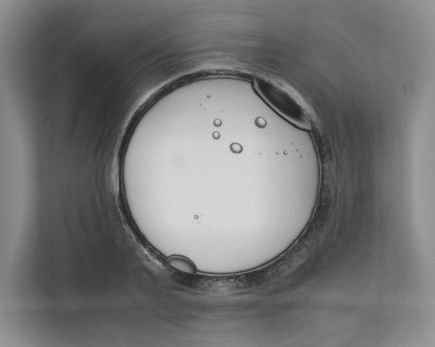 X0000111490791200908041141