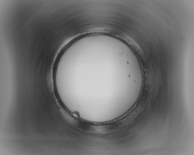 X0000111490792200908041141