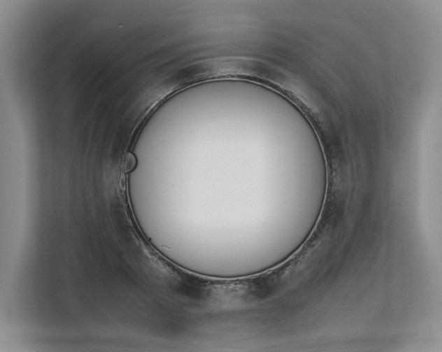 X0000111490793200908041141