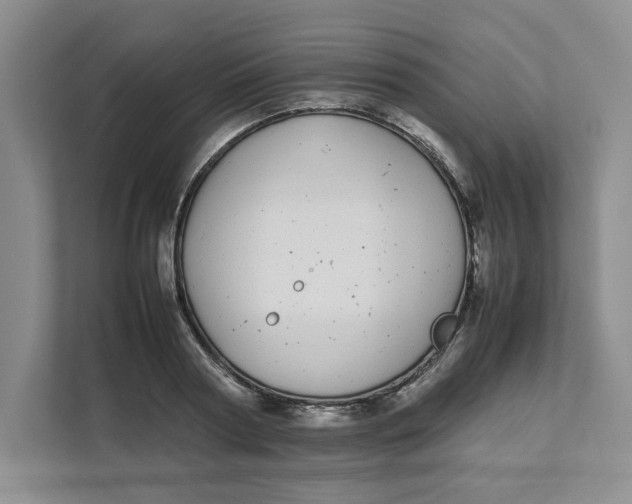 X0000111490794200908041141