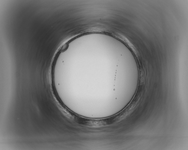 X0000111490795200908041141