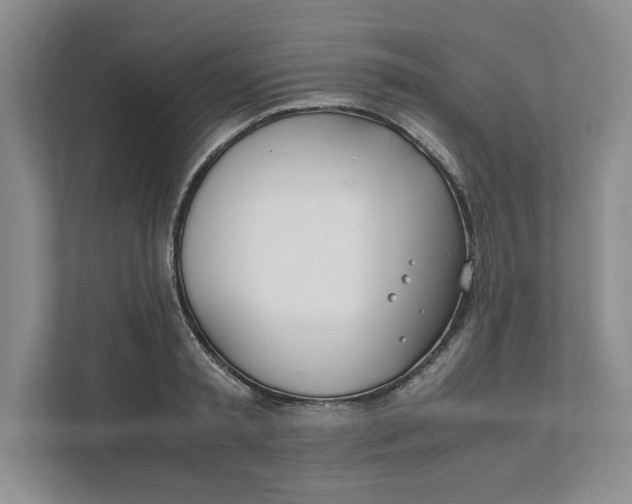 X0000111490797200908041141