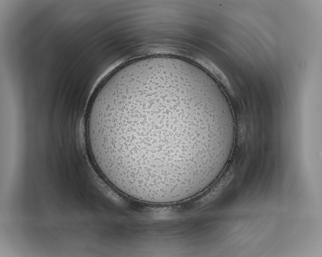 X0000111490798200908041141
