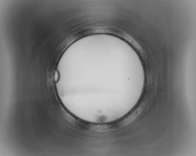 X0000111490801200908041141