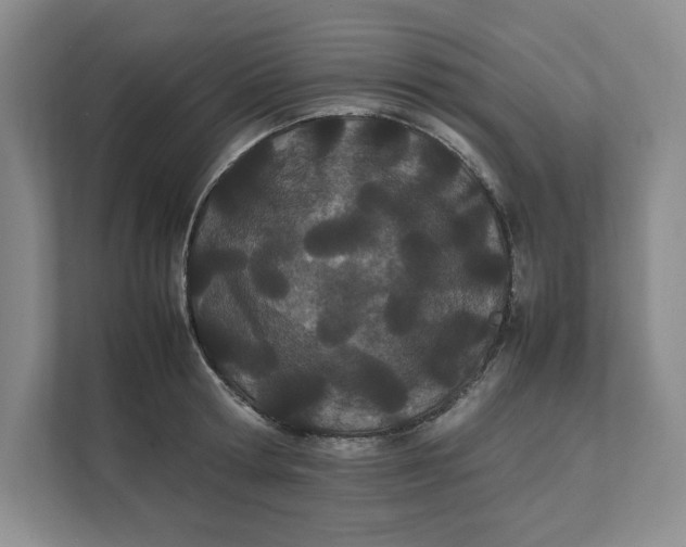 X0000111490802200908041141