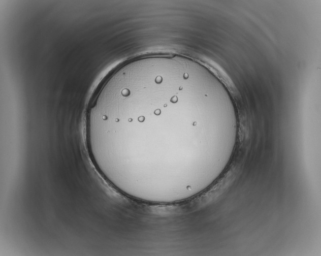 X0000111490804200908041141
