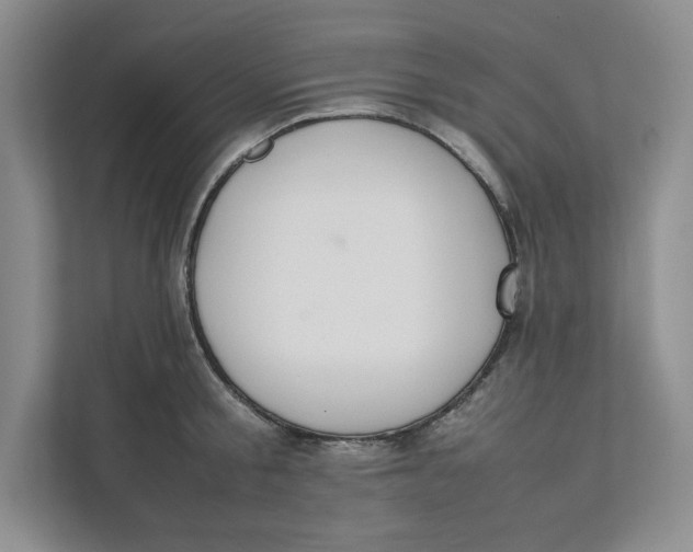 X0000111490805200908041141
