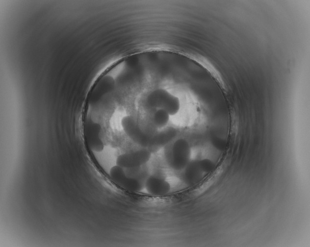X0000111490806200908041141