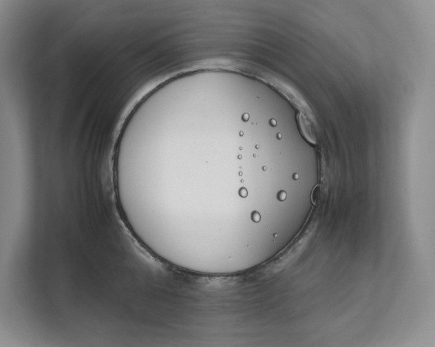 X0000111490808200908041141
