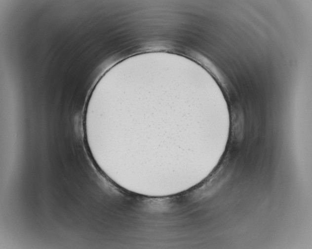 X0000111490810200908041141