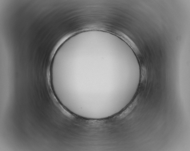 X0000111490812200908041141