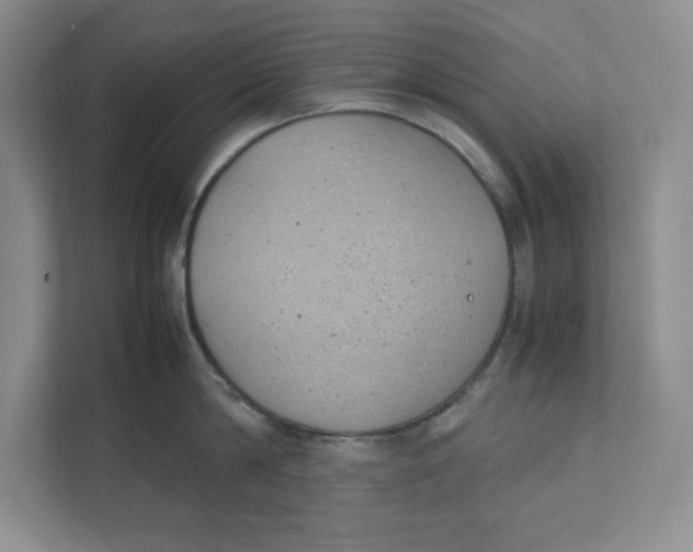 X0000111490814200908041141