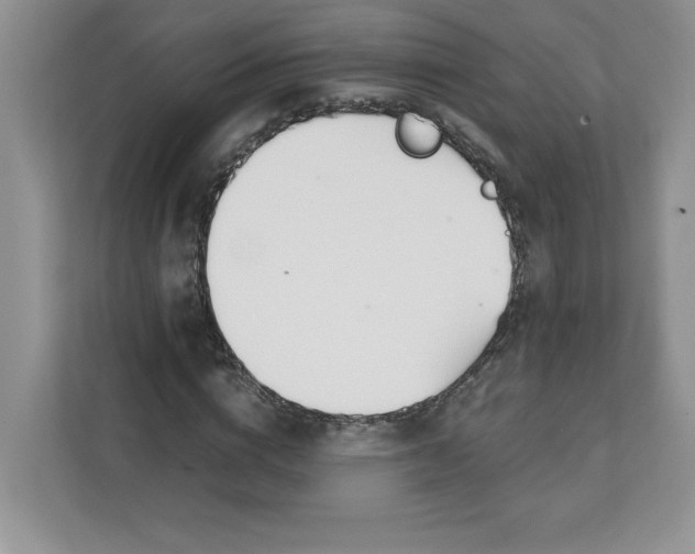X0000111490824200908041140