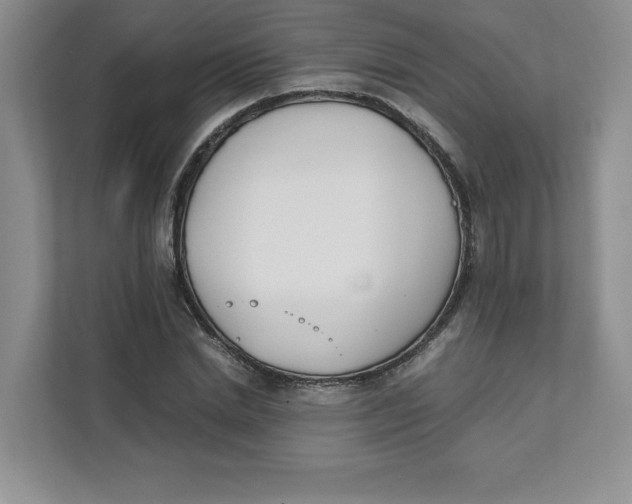 X0000111490830200908041140