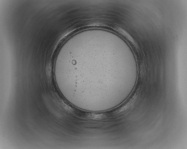 X0000111490831200908041140