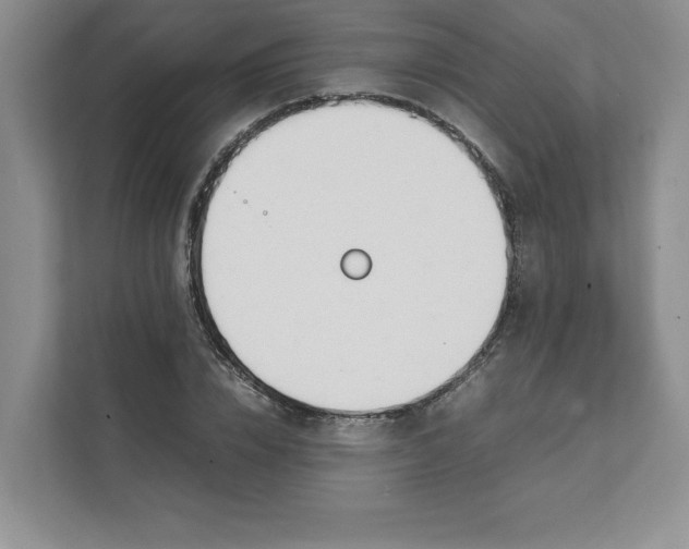 X0000111490832200908041140