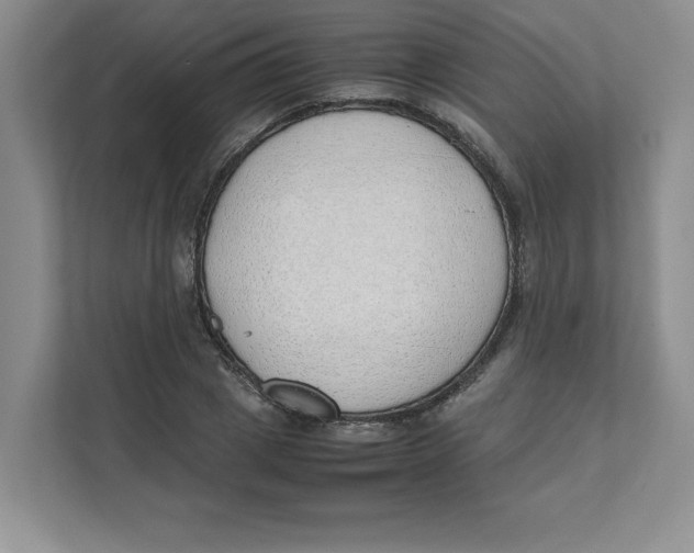 X0000111490833200908041140