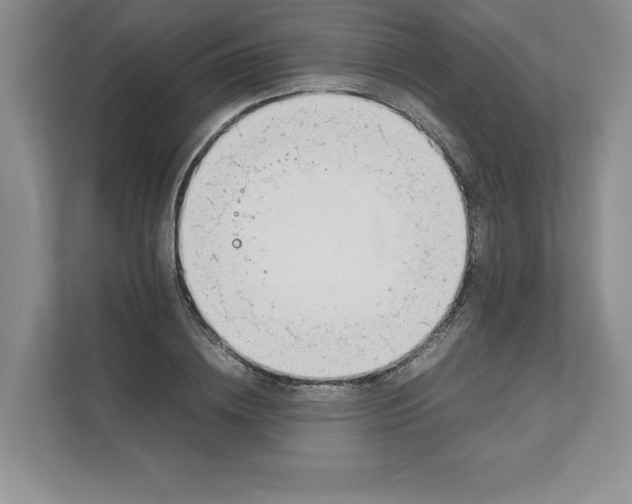 X0000111490836200908041140