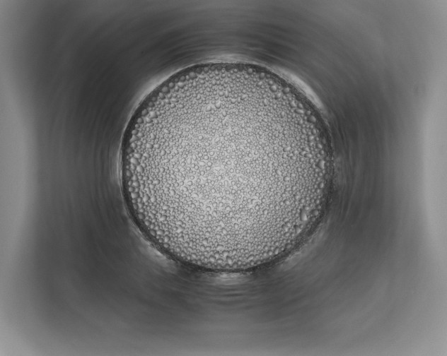 X0000111490839200908041140