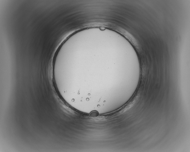 X0000111490844200908041140