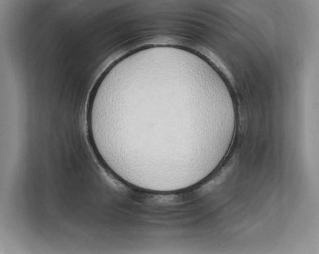 X0000111490845200908041140