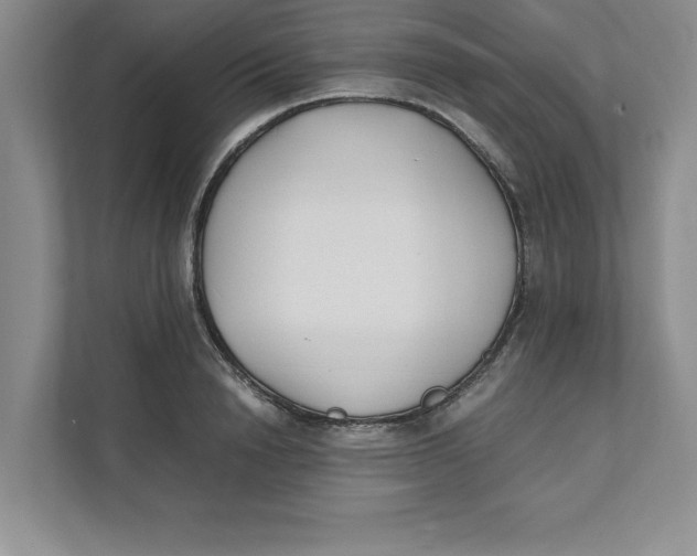 X0000111490846200908041140
