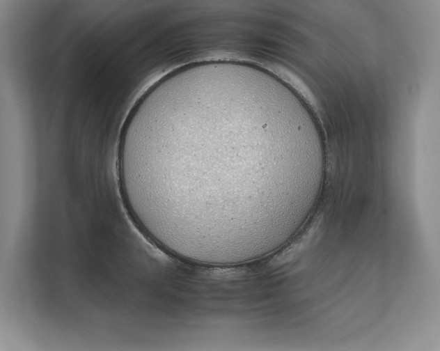 X0000111490847200908041140