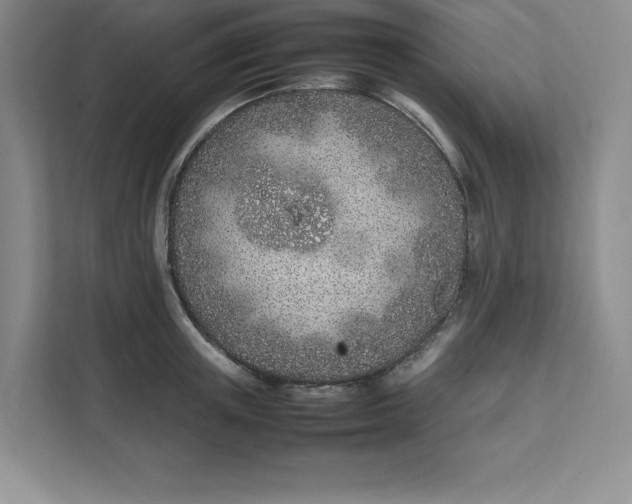 X0000111490851200908041141