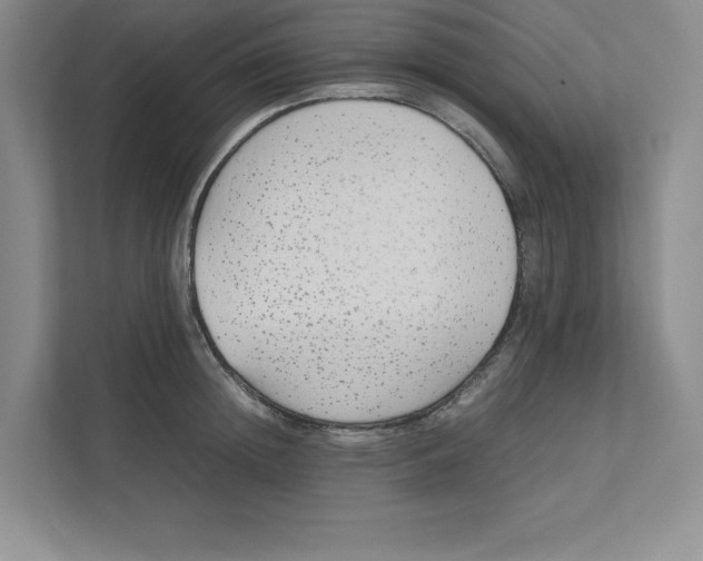 X0000111490852200908041141