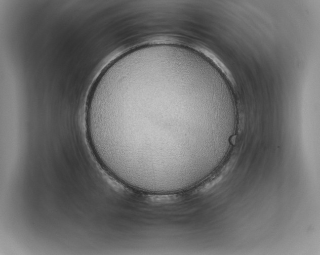 X0000111490853200908041141