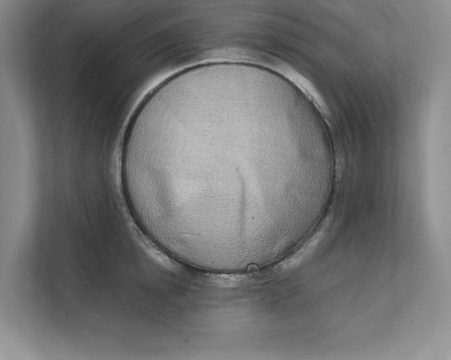 X0000111490854200908041141