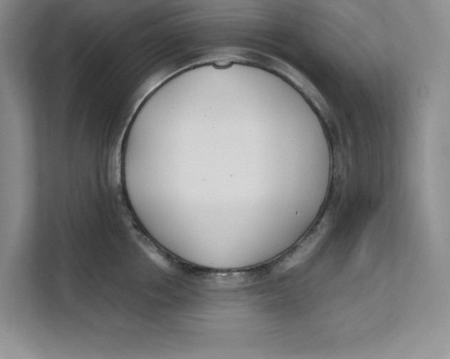 X0000111490858200908041141