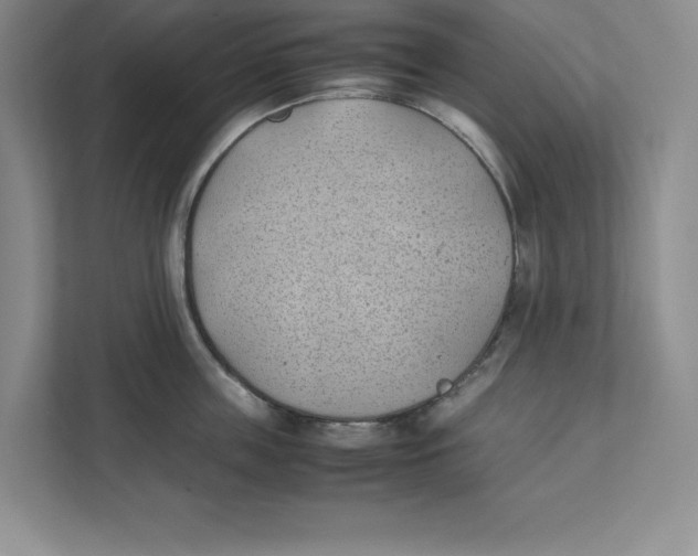 X0000111490859200908041141