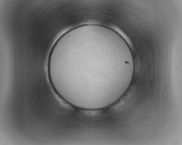 X0000111490861200908041141