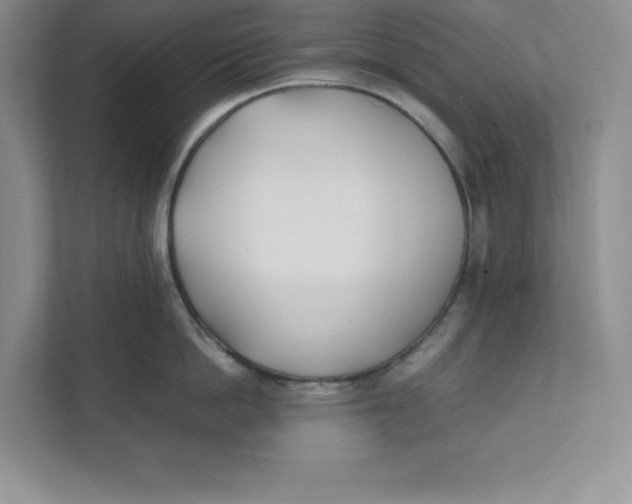 X0000111490862200908041141
