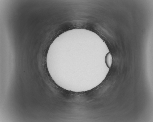 X0000111490865200908041140
