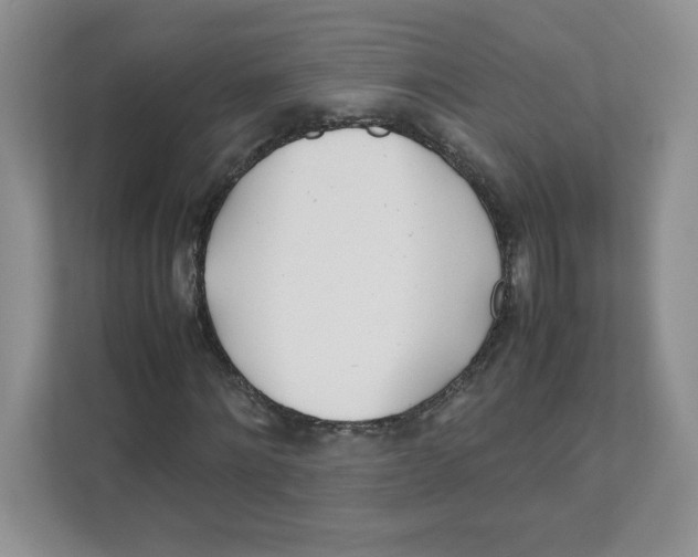X0000111490868200908041140
