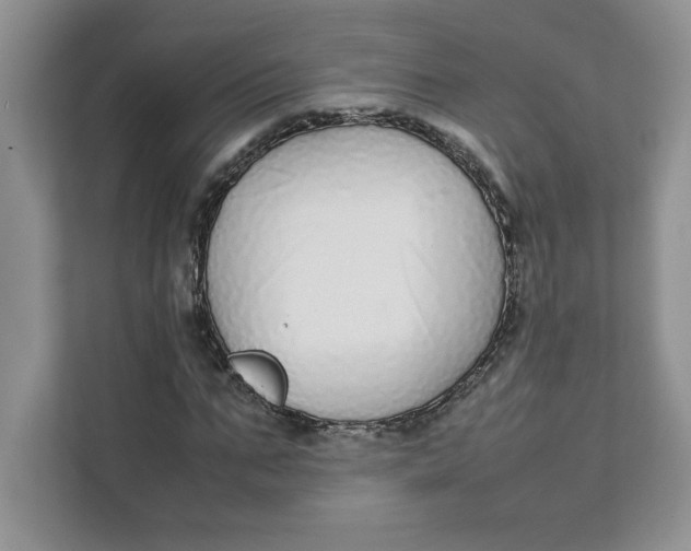 X0000111490871200908041140